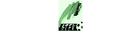 stfv